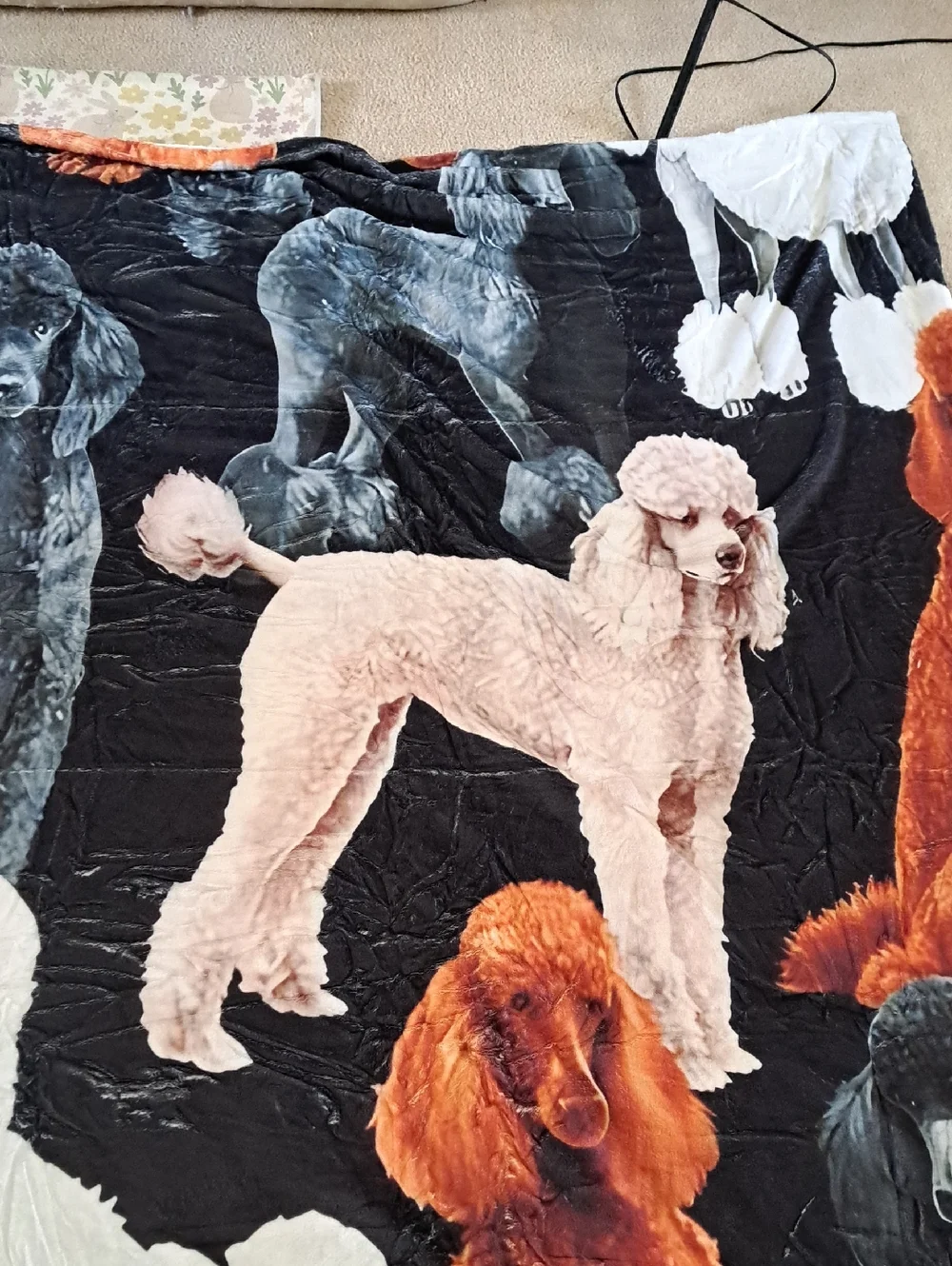 Plush Poodle Print Pet Blanket - Black, White, Orange 60 X 77
